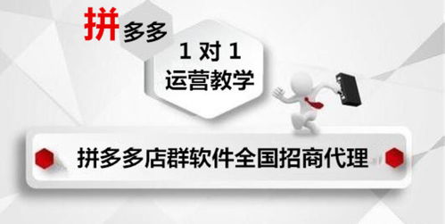 大象拼多多店群軟件代理 湖北軟件開發服務至上